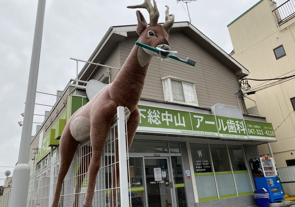 歯科に鹿のオブジェ登場