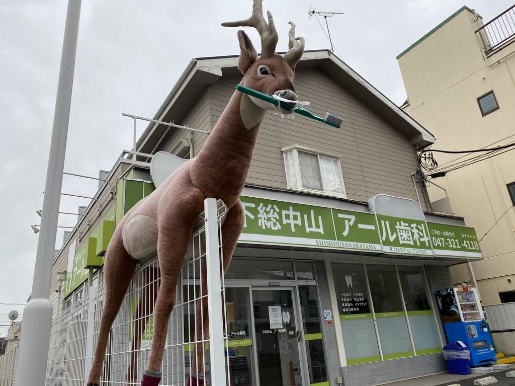 歯科に鹿のオブジェ登場