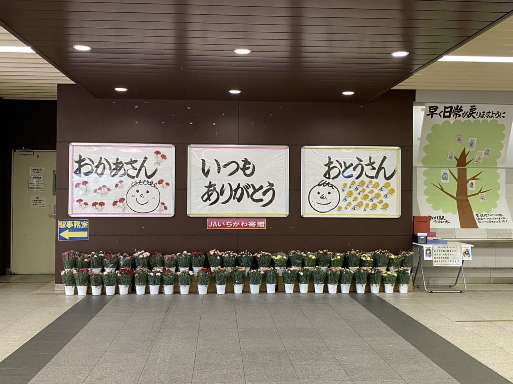 市川駅のアマビエの木