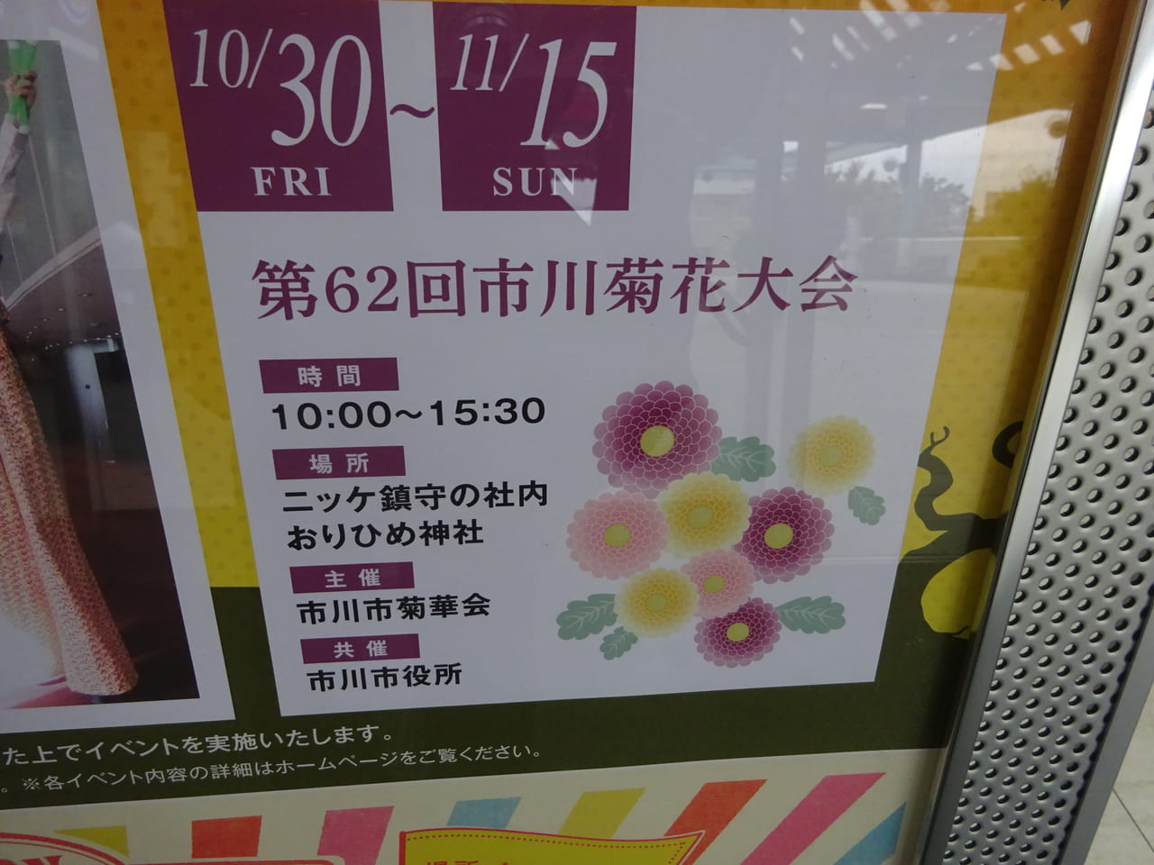 市川市 今年の 市川菊花大会 はなんとコルトンで開催されますよ 号外net 市川市