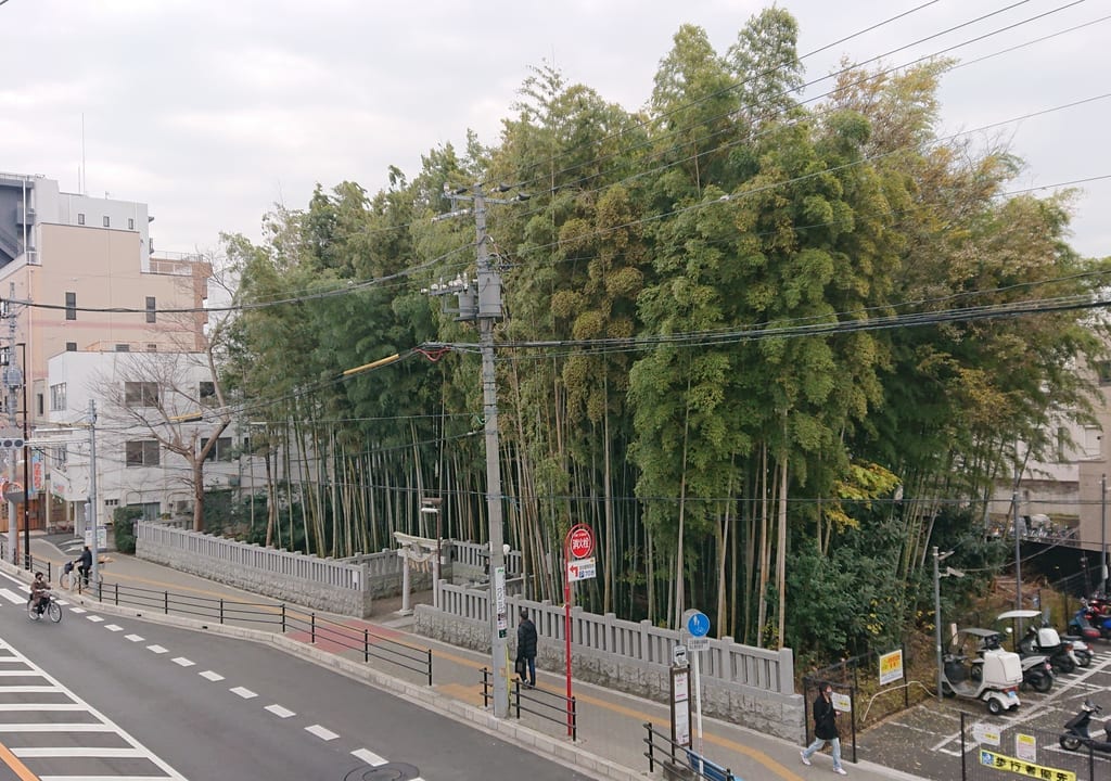 八幡の藪知らずを歩道橋から見たところ