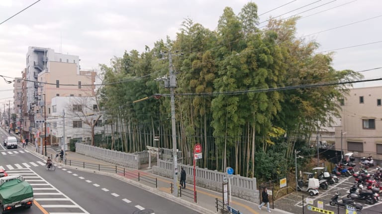 八幡の藪知らずを歩道橋から見たところ