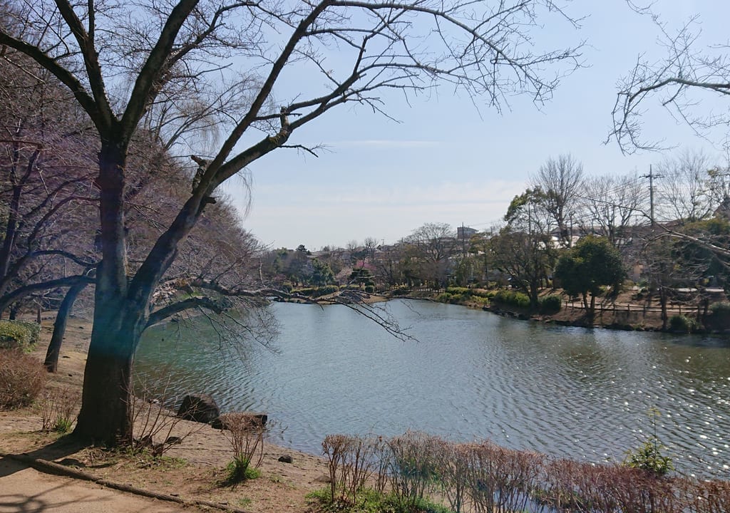 じゅん菜池緑地