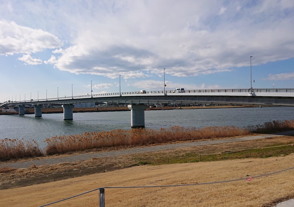 江戸川河川敷