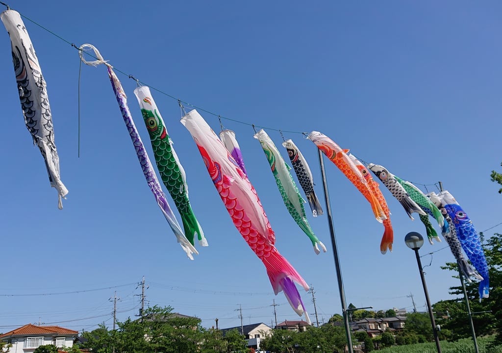 こざと北公園の鯉のぼりの様子