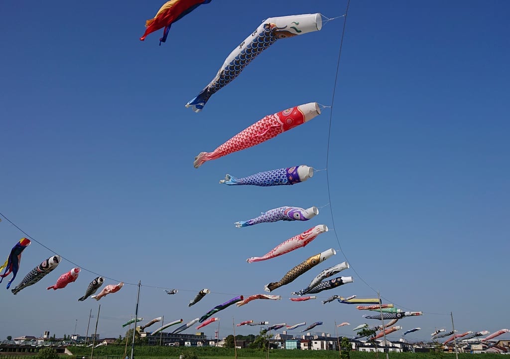 国分川鯉のぼりの様子