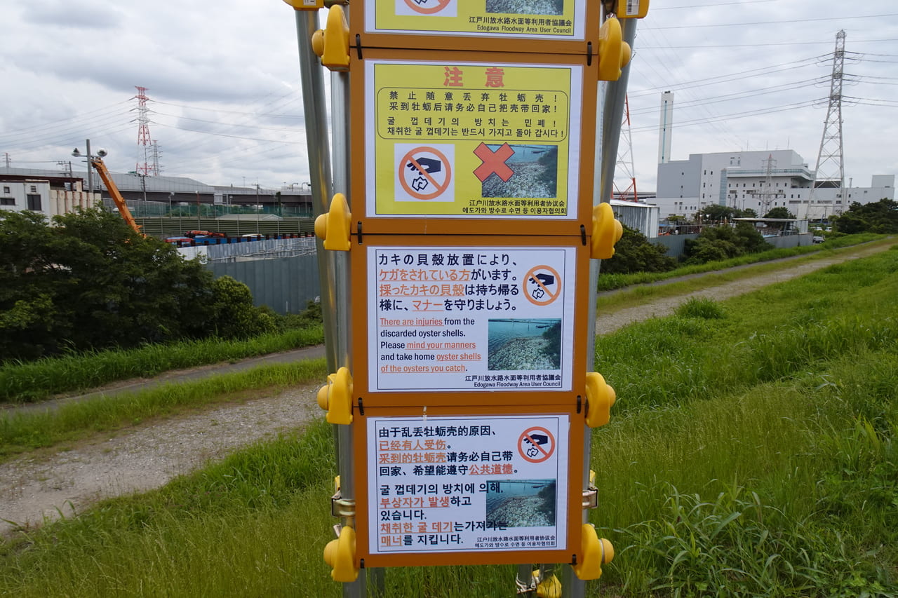 江戸川河川敷の牡蠣が採れる場所には注意看板があります。