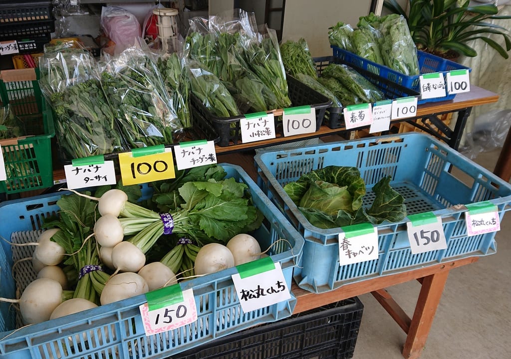 ヨシダ農園の新鮮野菜