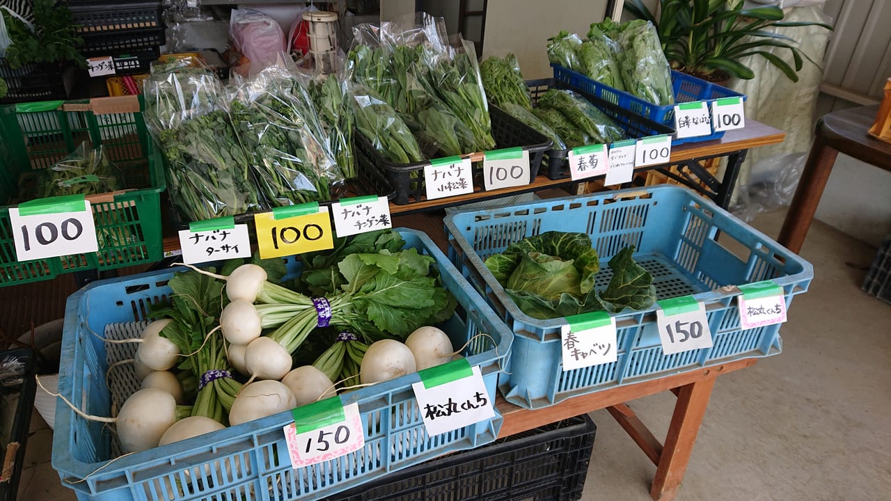 ヨシダ農園の新鮮野菜