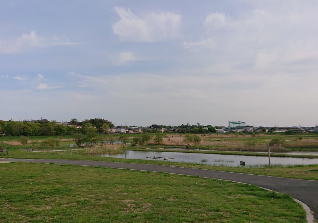 大柏川第一調節池緑地の全景