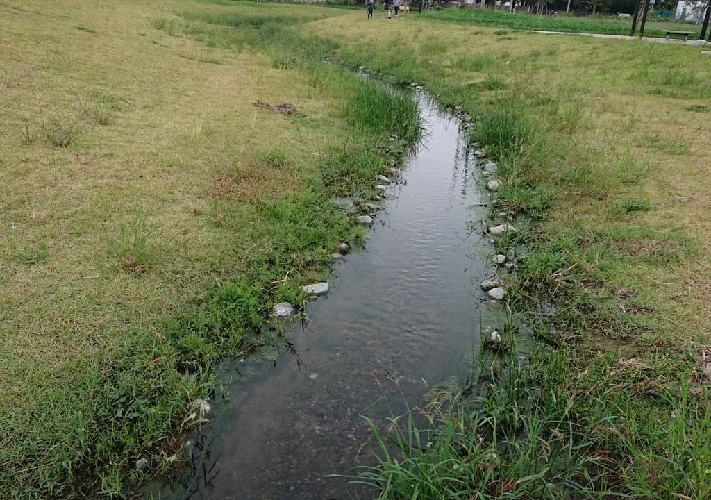 小塚山公園のどうめき谷津の小川