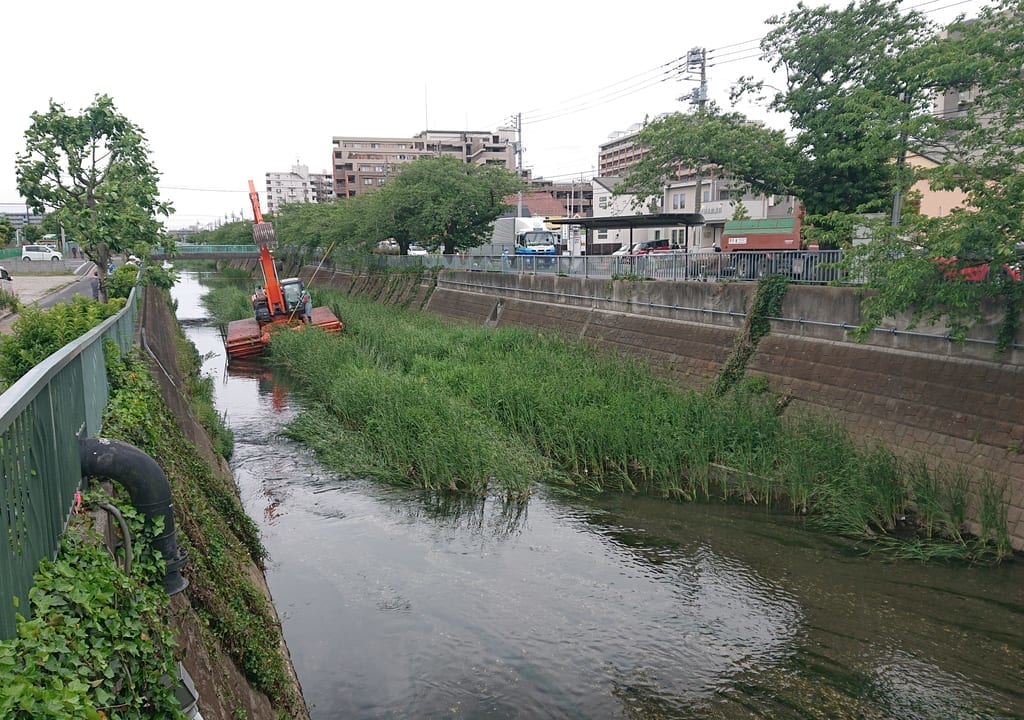 大柏川のショベルカー