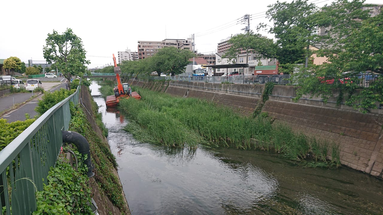 大柏川のショベルカー