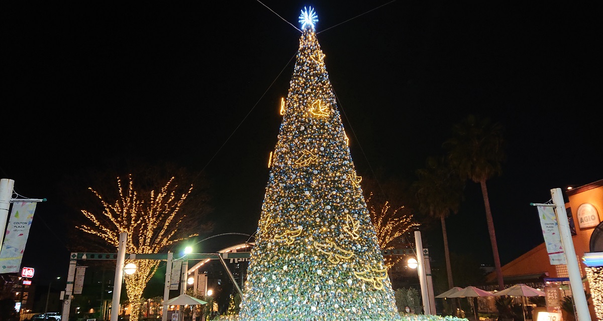 コルトンプラザの西入口のクリスマスツリー