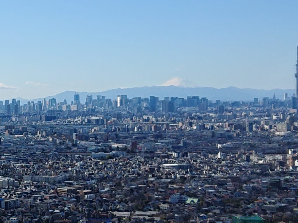 アイ・リンクタウン展望施設から富士山とスカイツリーが見えます