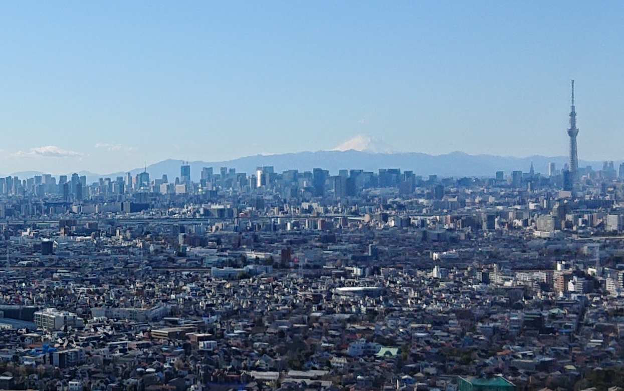 アイ・リンクタウン展望施設から富士山とスカイツリーが見えます