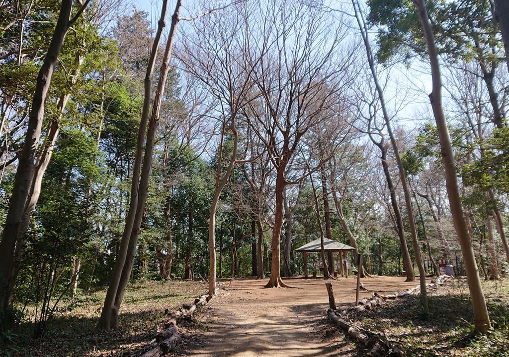 小塚山公園