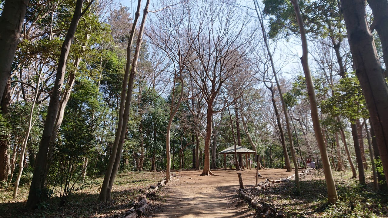 小塚山公園