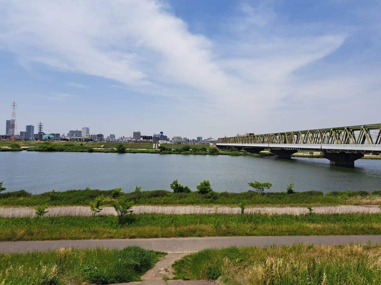 江戸川河川敷の風景
