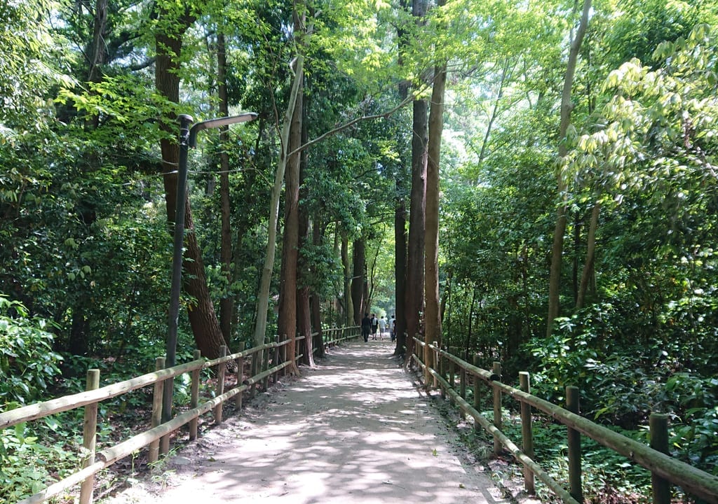 21世紀の森と広場の散策路