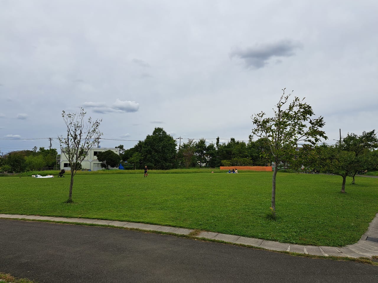 大柏川第一調節池緑地の敷地