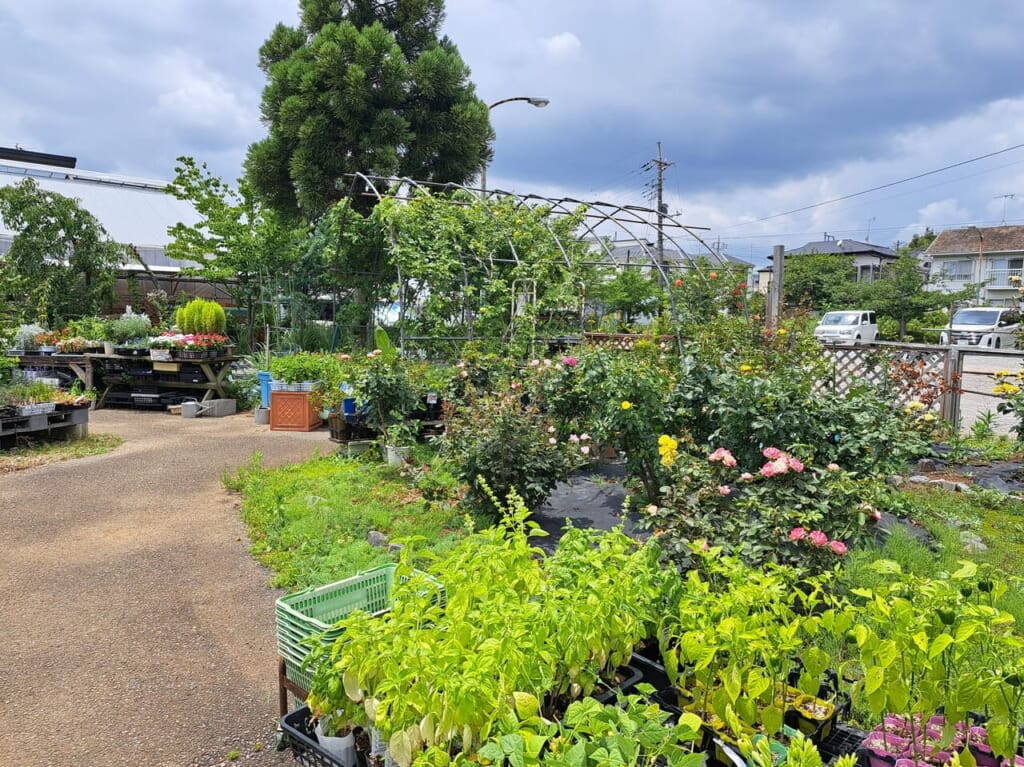 アイキャンガーデンの園内