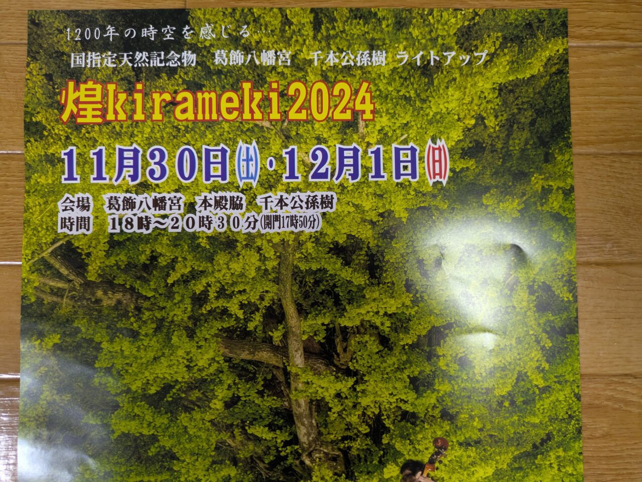 煌kirameki2024
