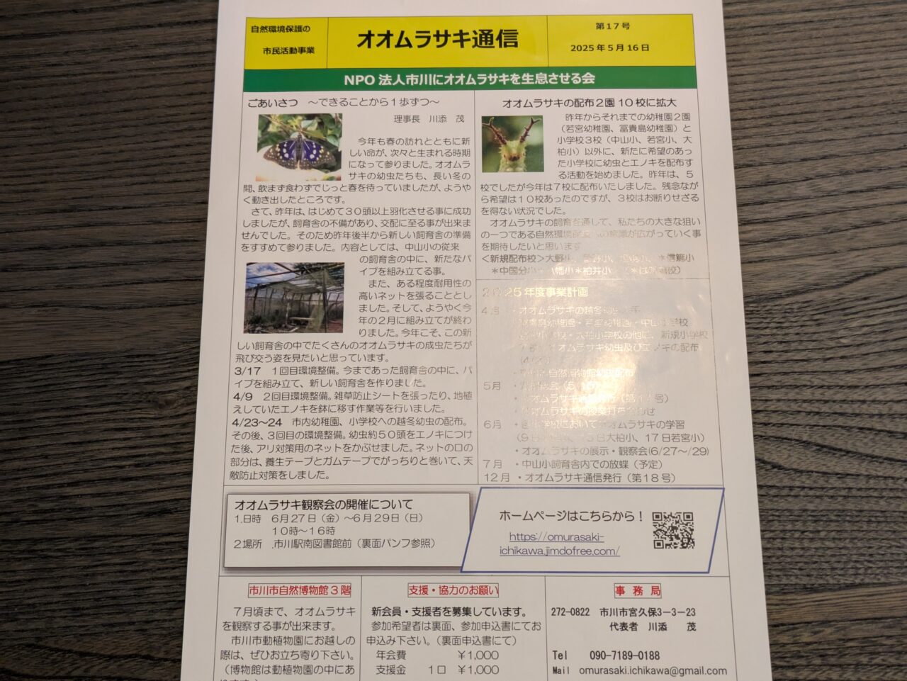 オオムラサキ通信