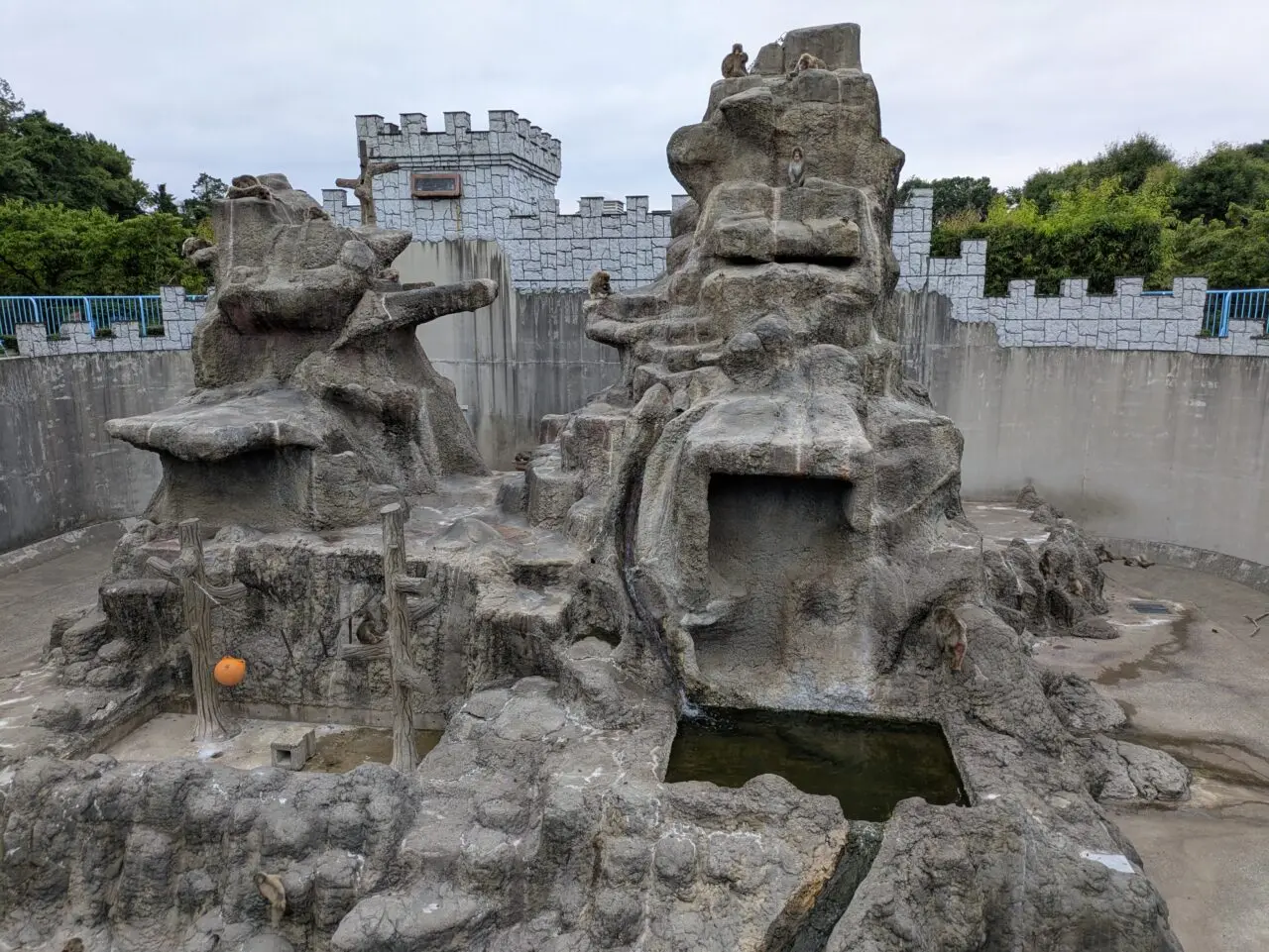 市川市動植物園のサル山