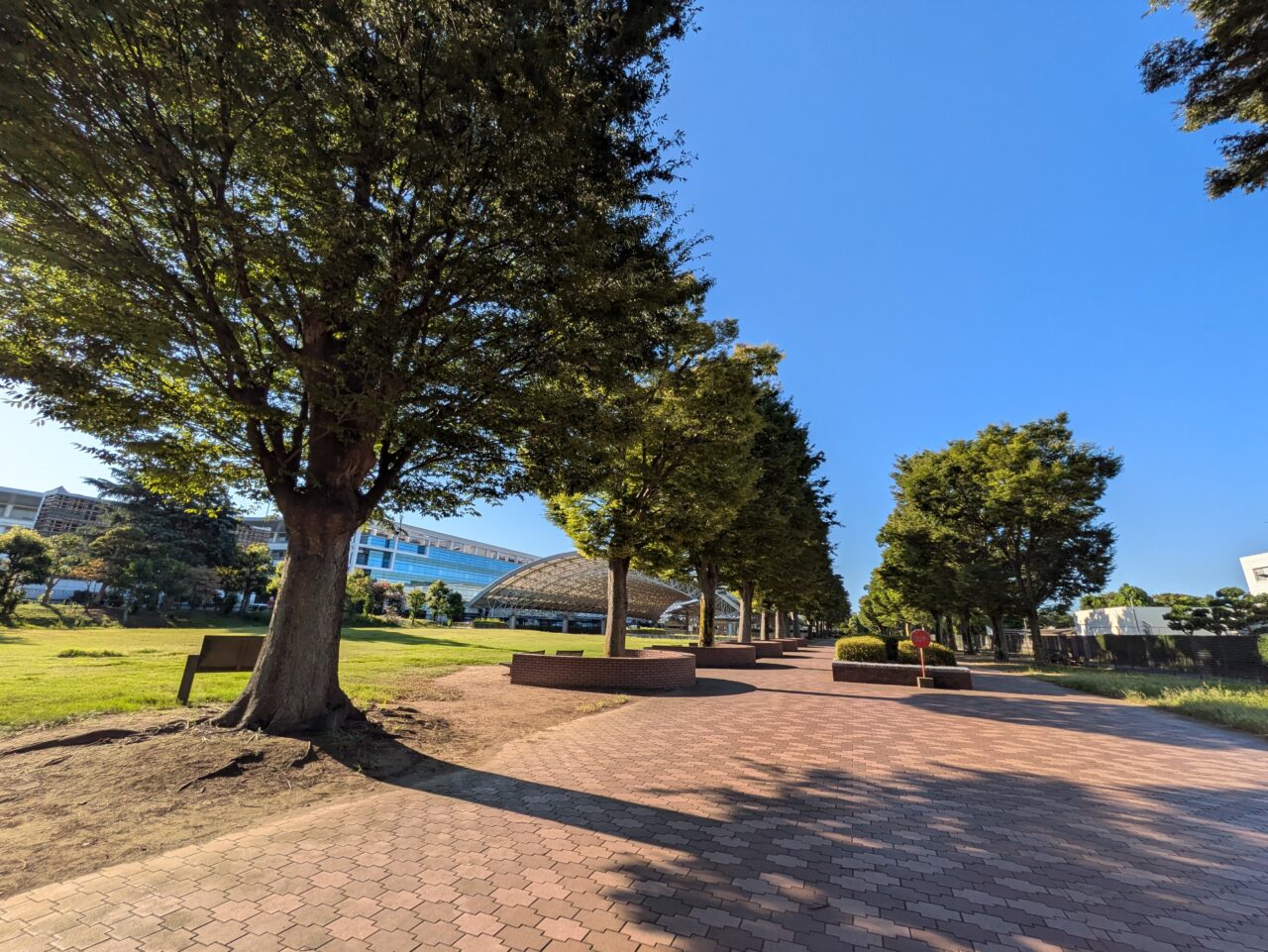 けやき公苑の庭園
