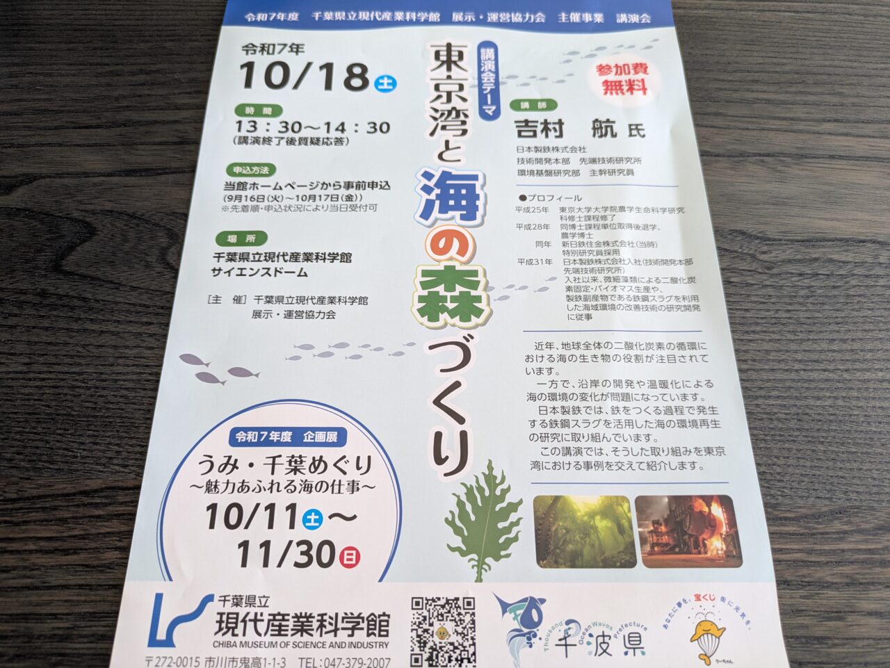 東京湾と海の森づくり