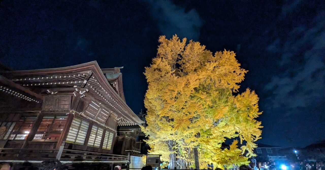 葛飾八幡宮のライトアップ