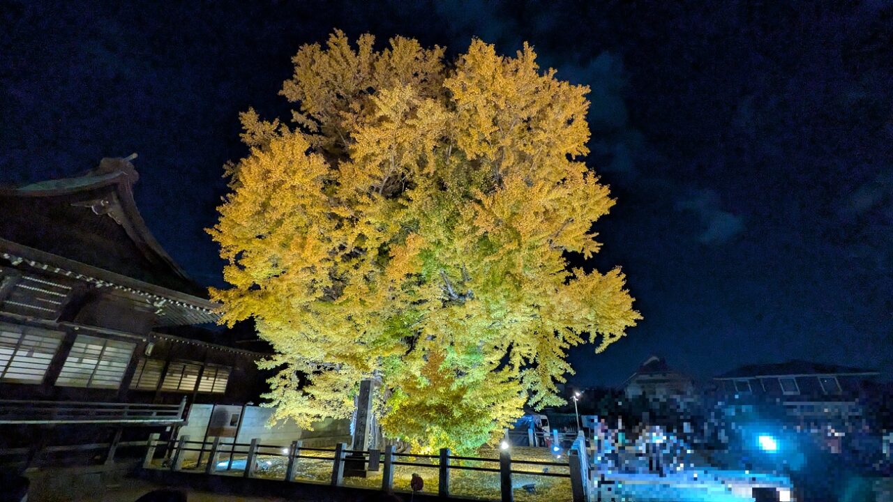 葛飾八幡宮のkiramekiライトアップ