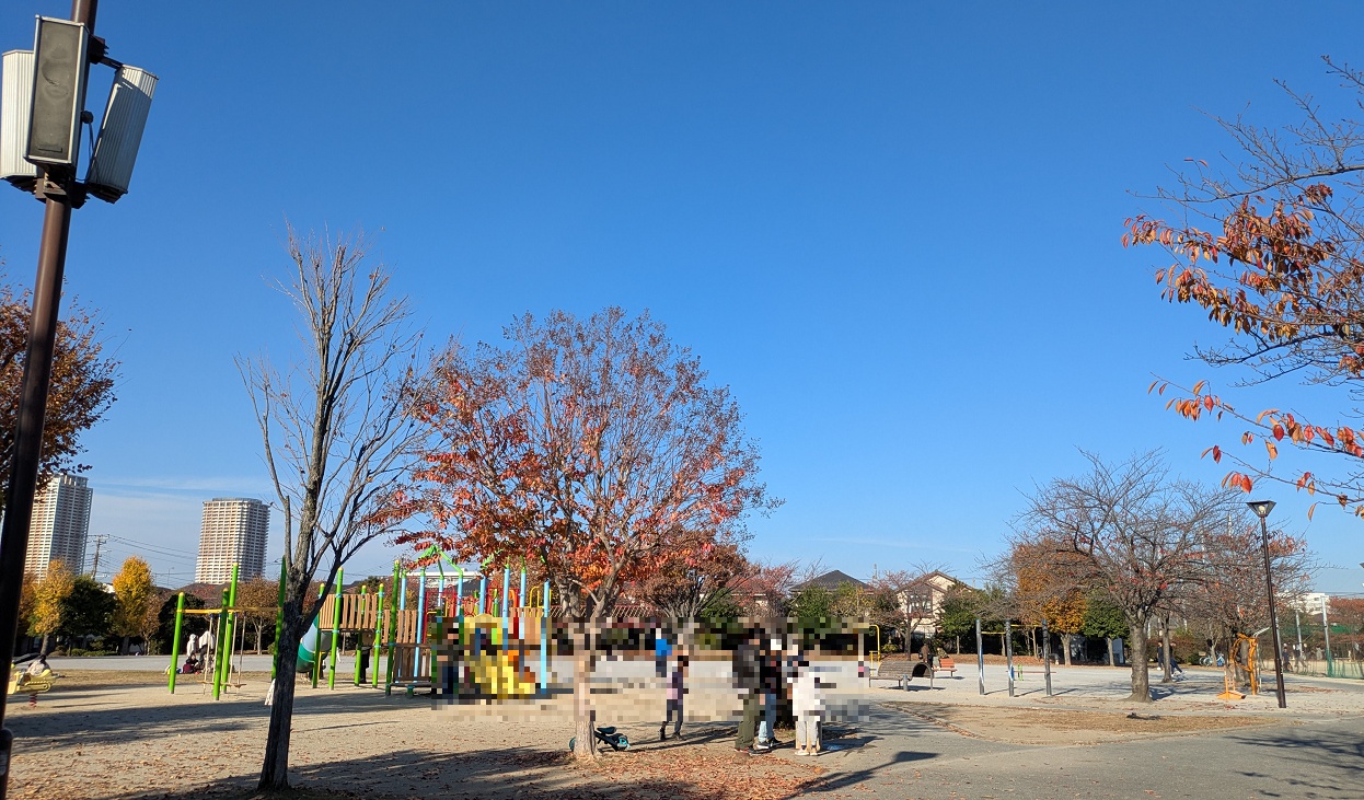 大洲防災公園の遊具
