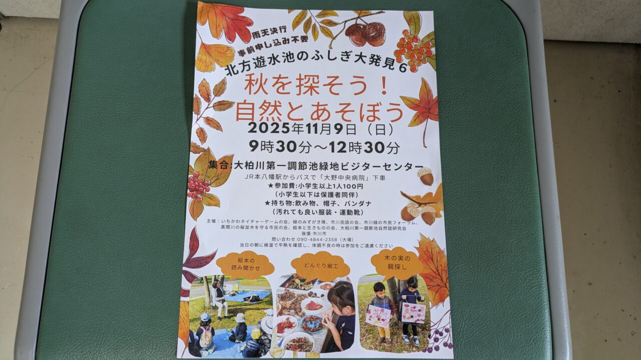 秋を探そう！自然とあそぼう