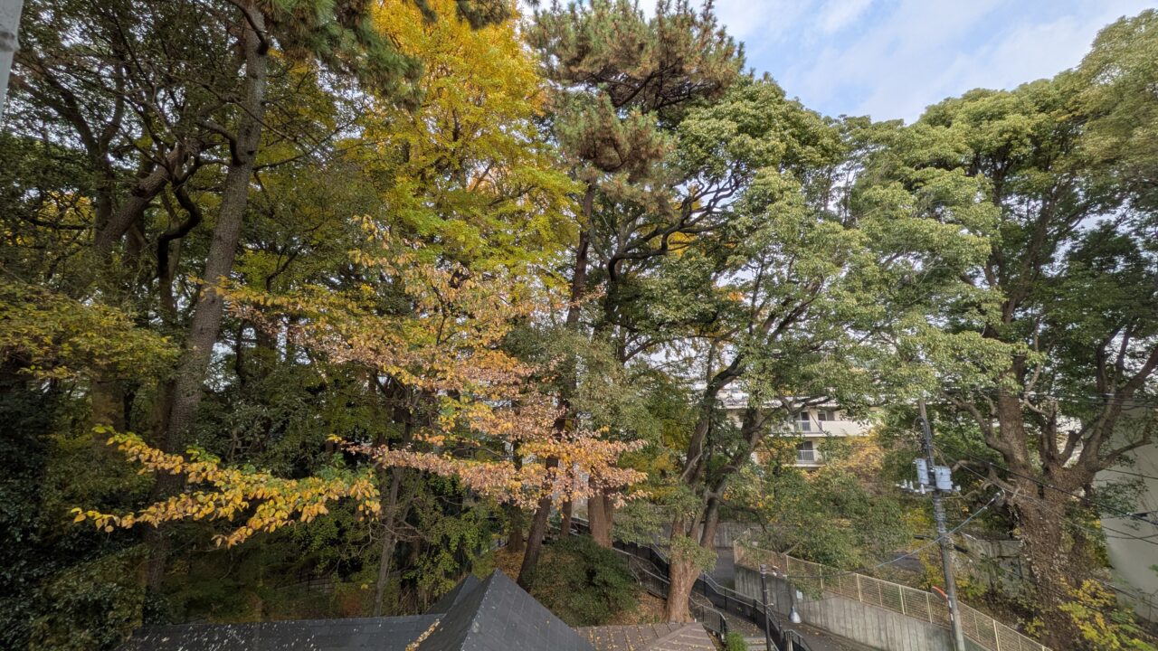 木内ギャラリーの紅葉