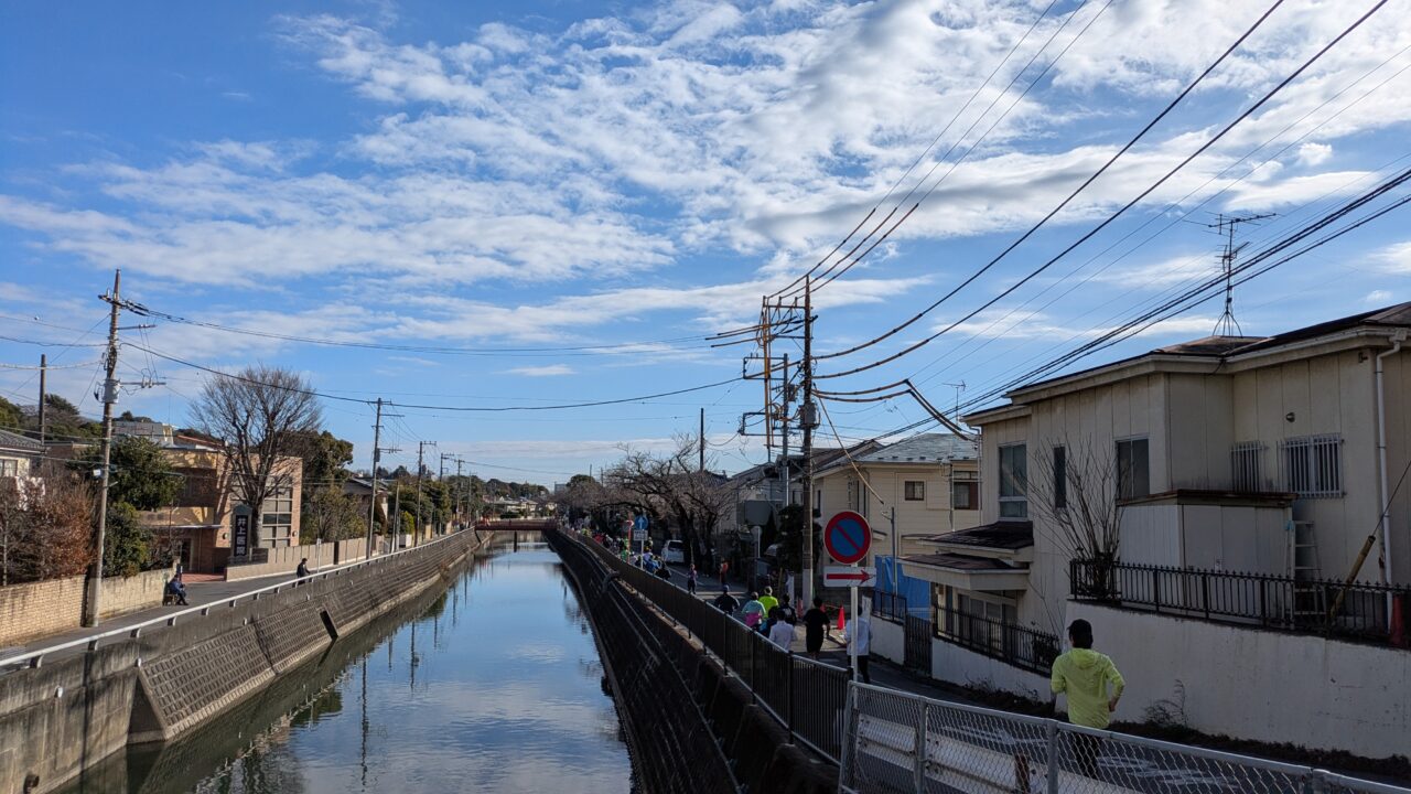 市川市民マラソン大会の川沿いのコース