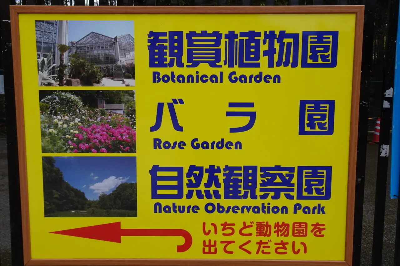 市川市動植物園のバラ園