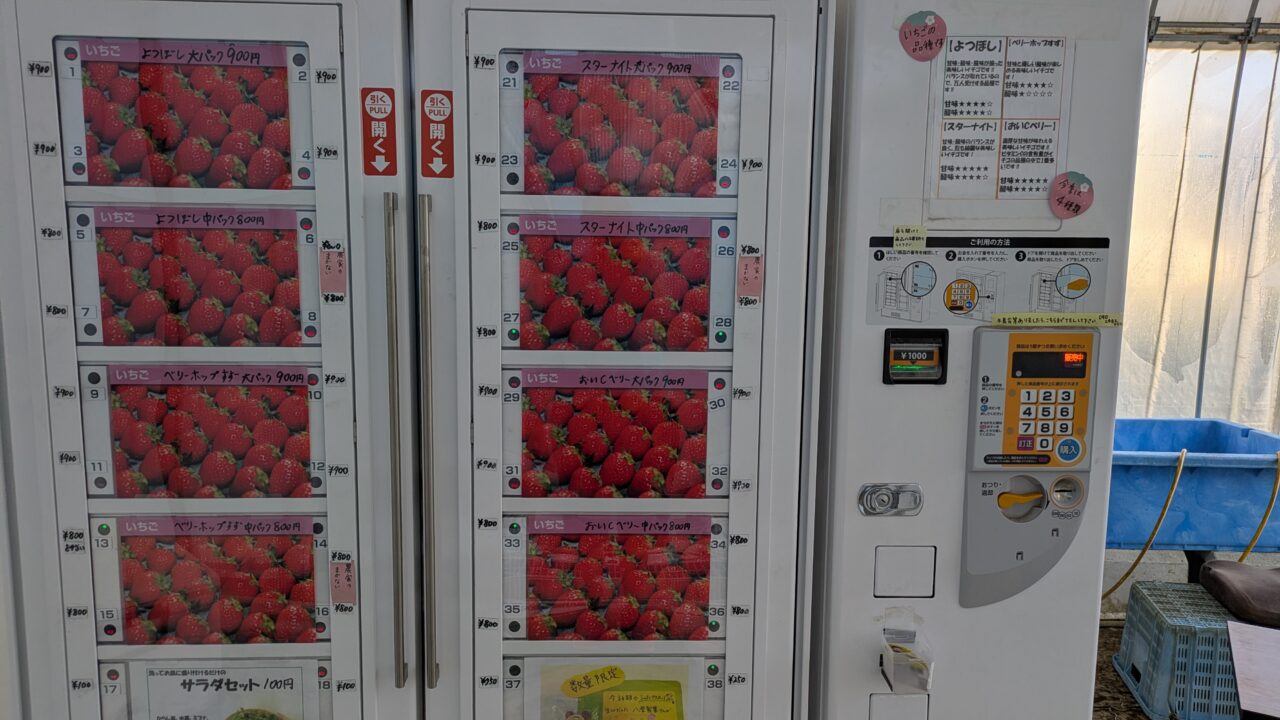 田中農園のいちごは絶品