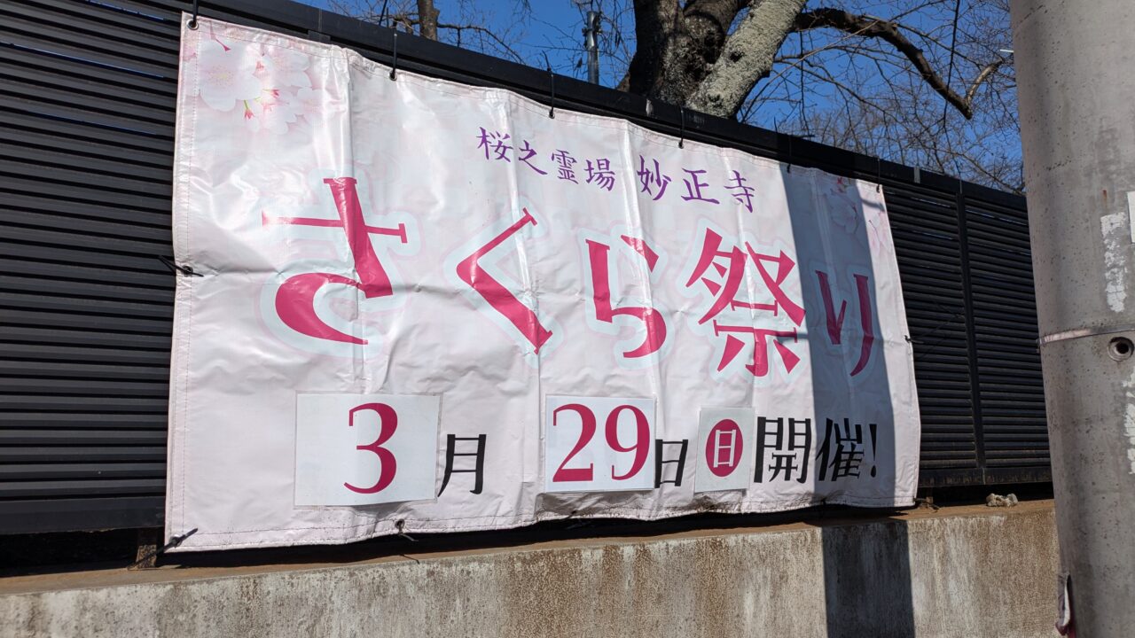 さくら祭り