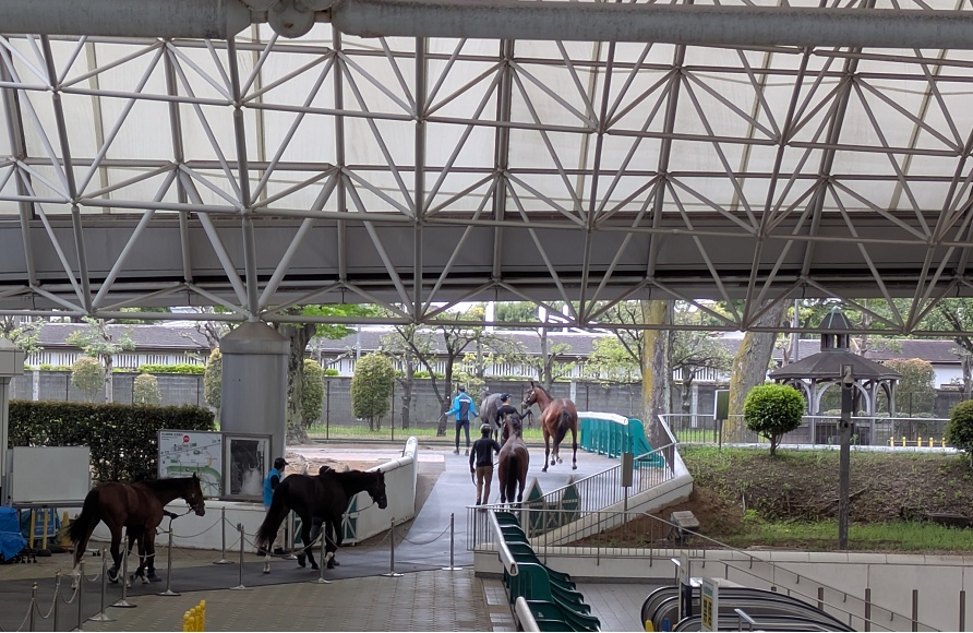 けやき公苑ブリーズアップセール