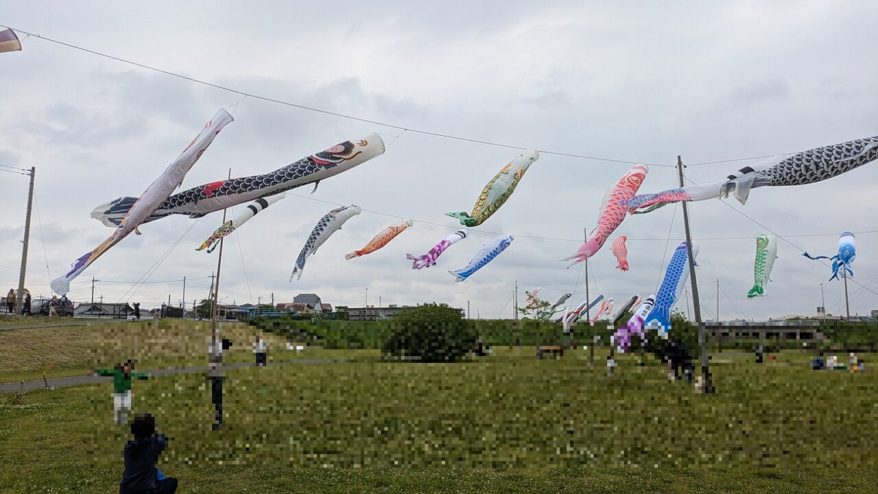国分川鯉のぼりイベント
