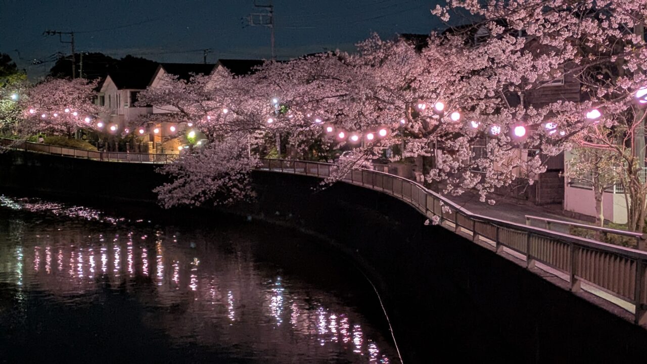 真間川の提灯点灯はキレイ