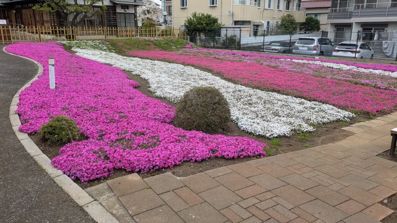 郭沫若記念館の庭園