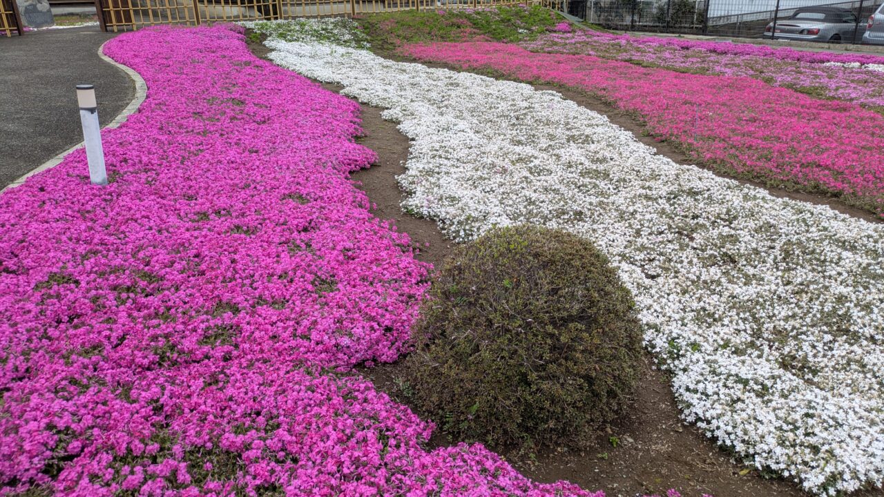郭沫若記念館の庭園が素敵
