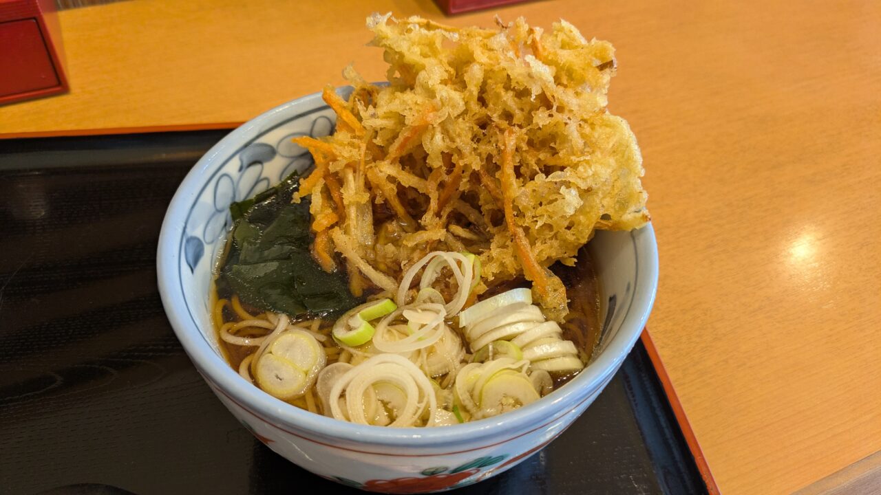 やしまのごぼうにんじん天そば