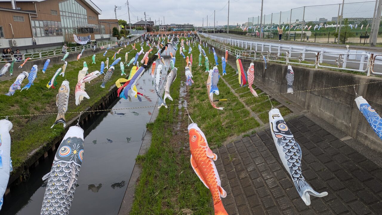 国分川鯉のぼり
