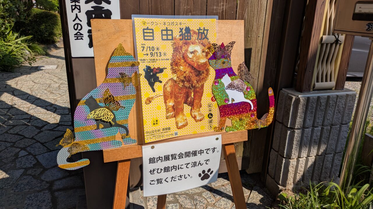 自由猫放