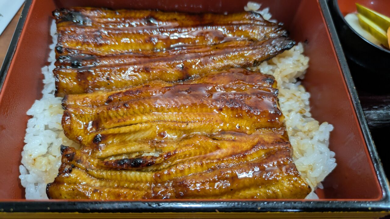 うなぎの前むらの特うな重