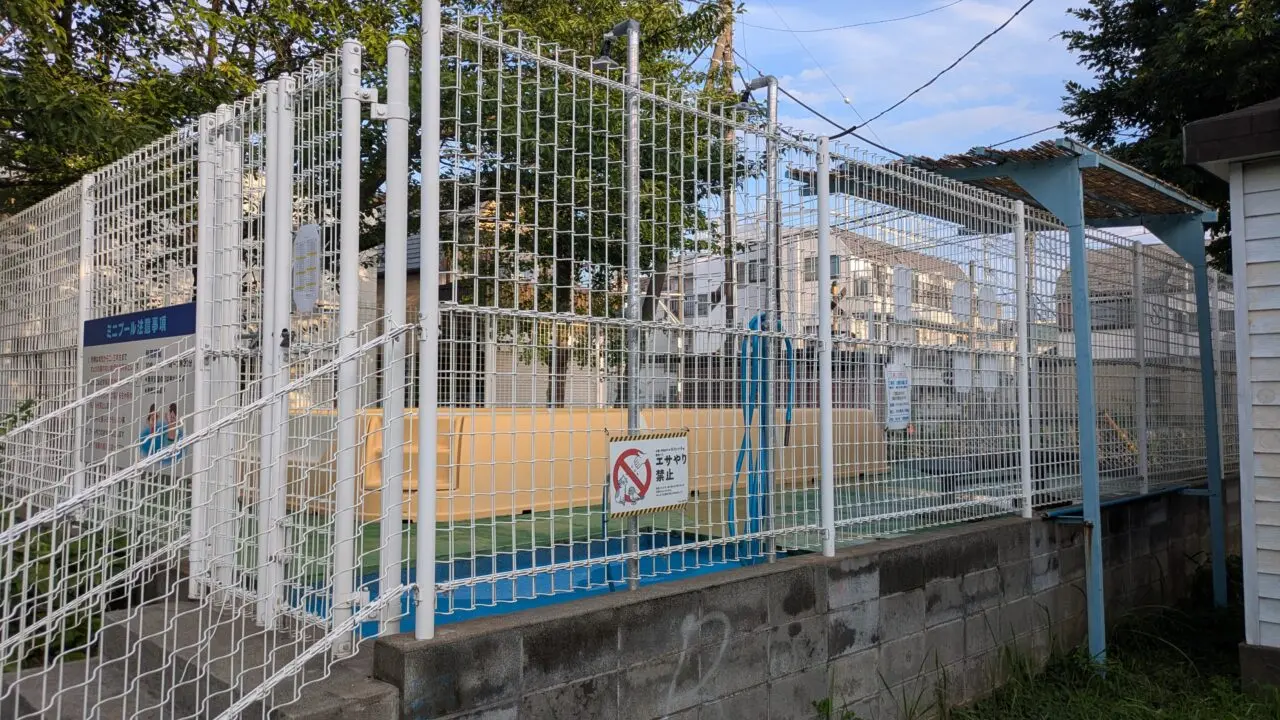 公園プール開設中